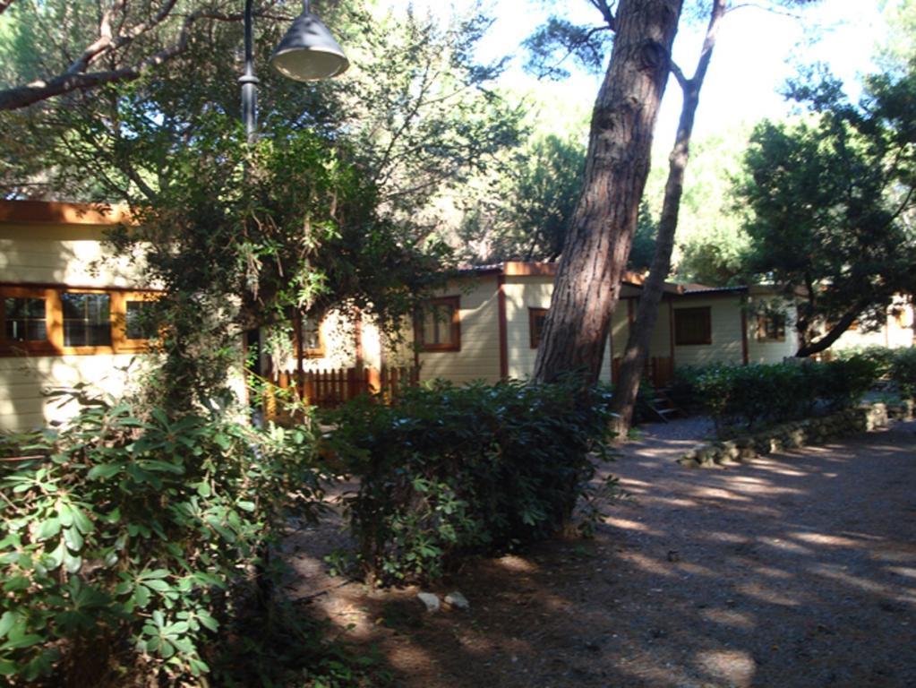Le Esperidi Camping Ecoresort Марина ди Бибона Екстериор снимка