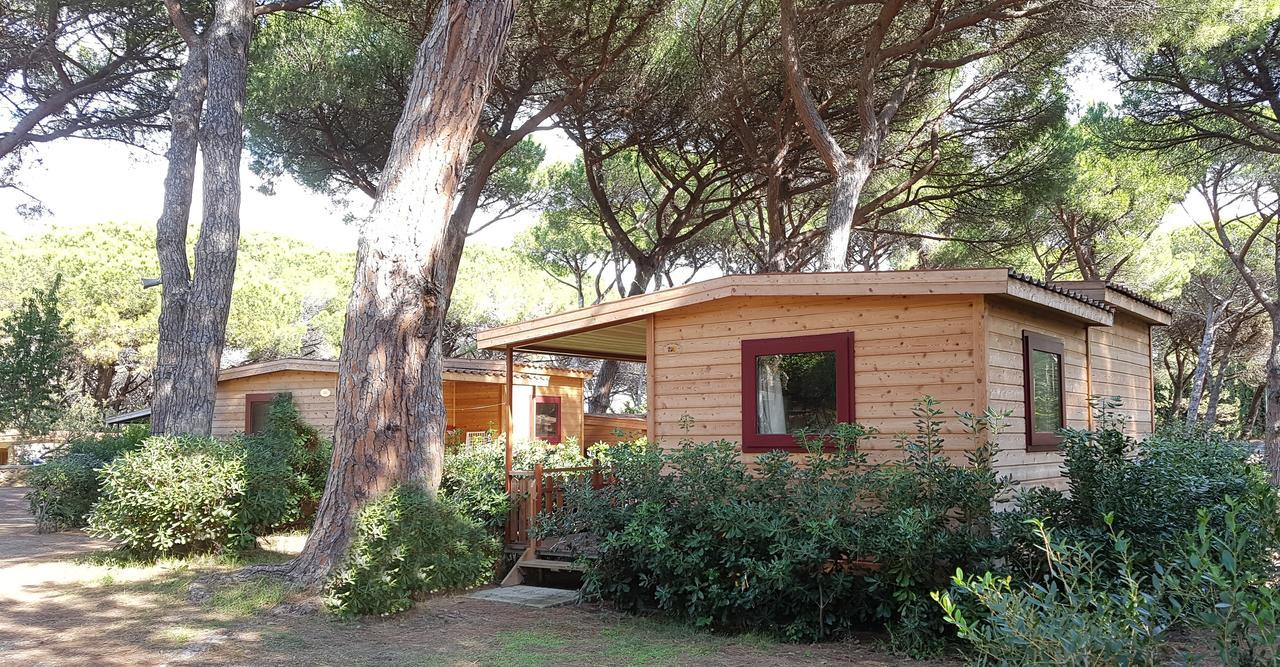 Le Esperidi Camping Ecoresort Марина ди Бибона Екстериор снимка