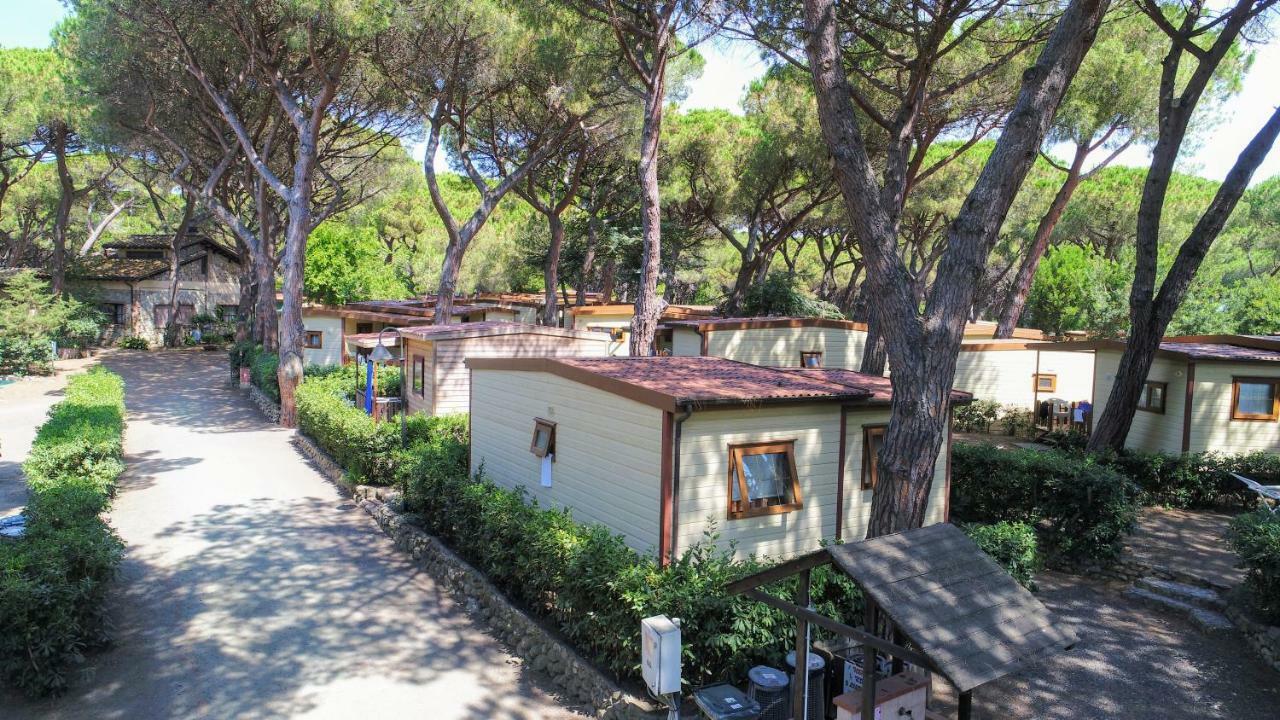 Le Esperidi Camping Ecoresort Марина ди Бибона Екстериор снимка